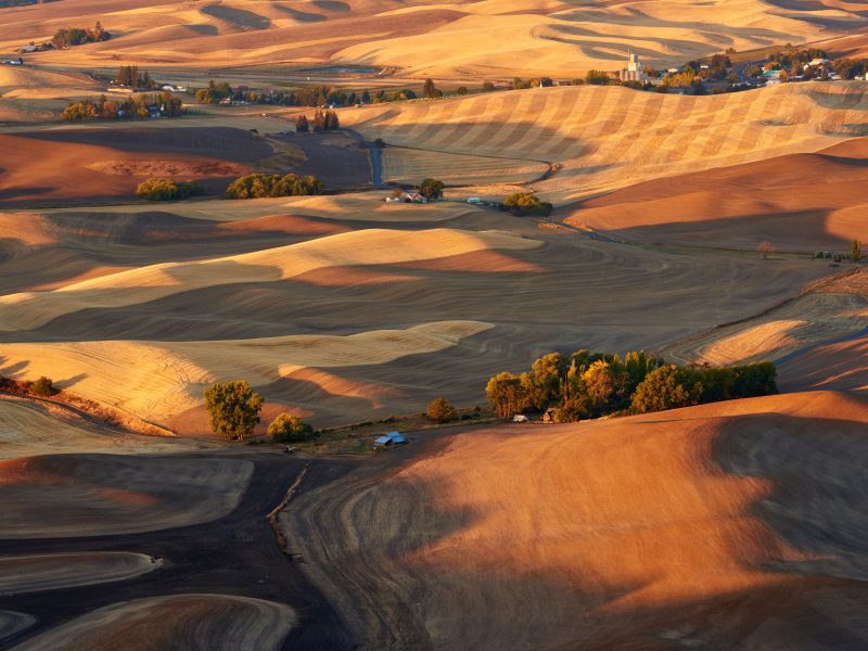 View,Of,The,Farmland,In,The,Palouse,Hills,Region,Near